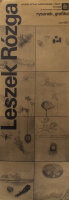 Leszek Rózga - Lezsek Rózga grafika rysunek w Lódz (Ausstellungsplakat) - 1977 - Offset